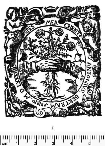 Datei:Anton Bertram NameMottoFigur DE-1 HeitzElsass01.jpg